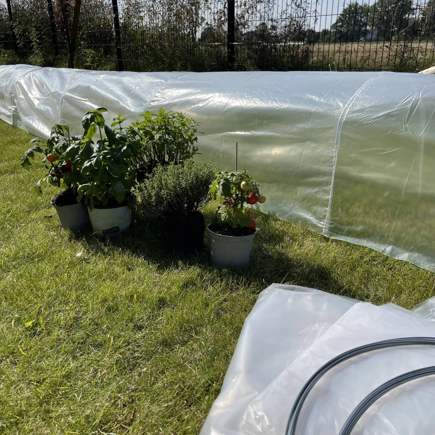 5 Tunnels De Forçage 3m² 7 5 Tunnels De Forçage 3m² – Image 5