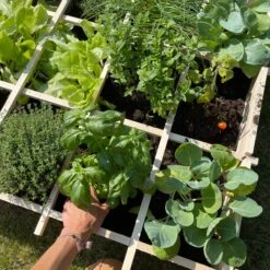 Carré Potager En Bois 90 X 90cm -Sweeek VG90 05